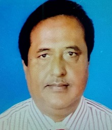 image-here